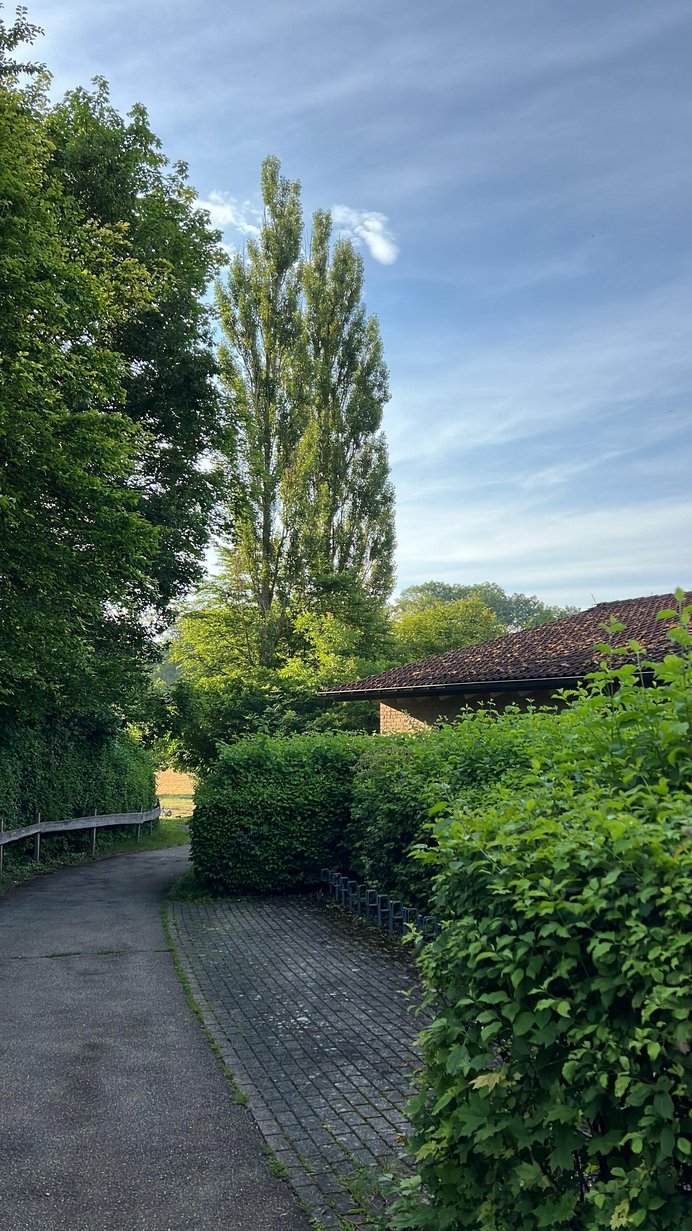 Weg mit Büschen gesäumt und seitlichen Fahrradständern.